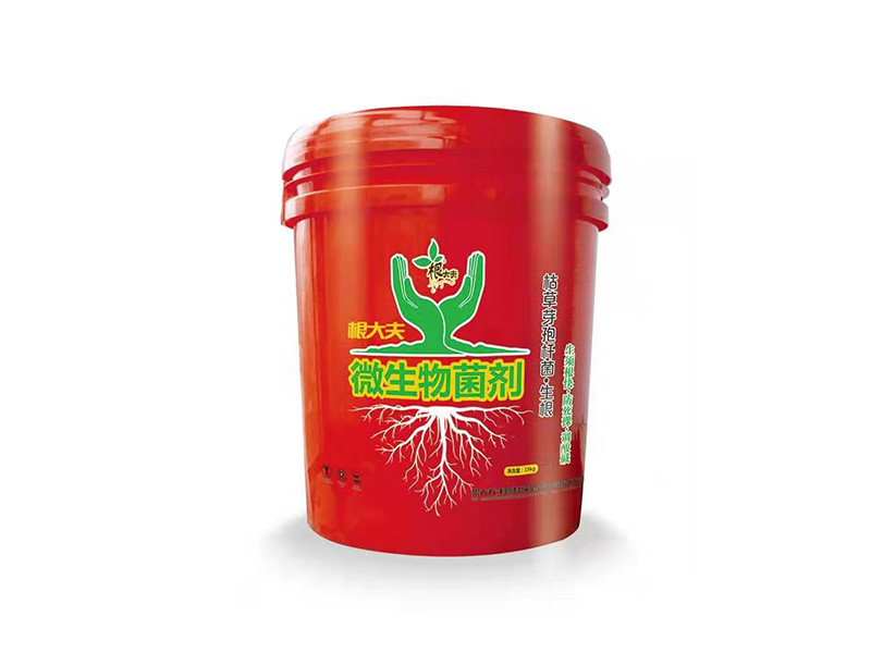 枯草芽孢杆菌·生根